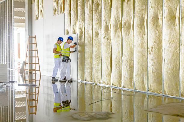 Professional Insulation Contractor in Beaverton, MI